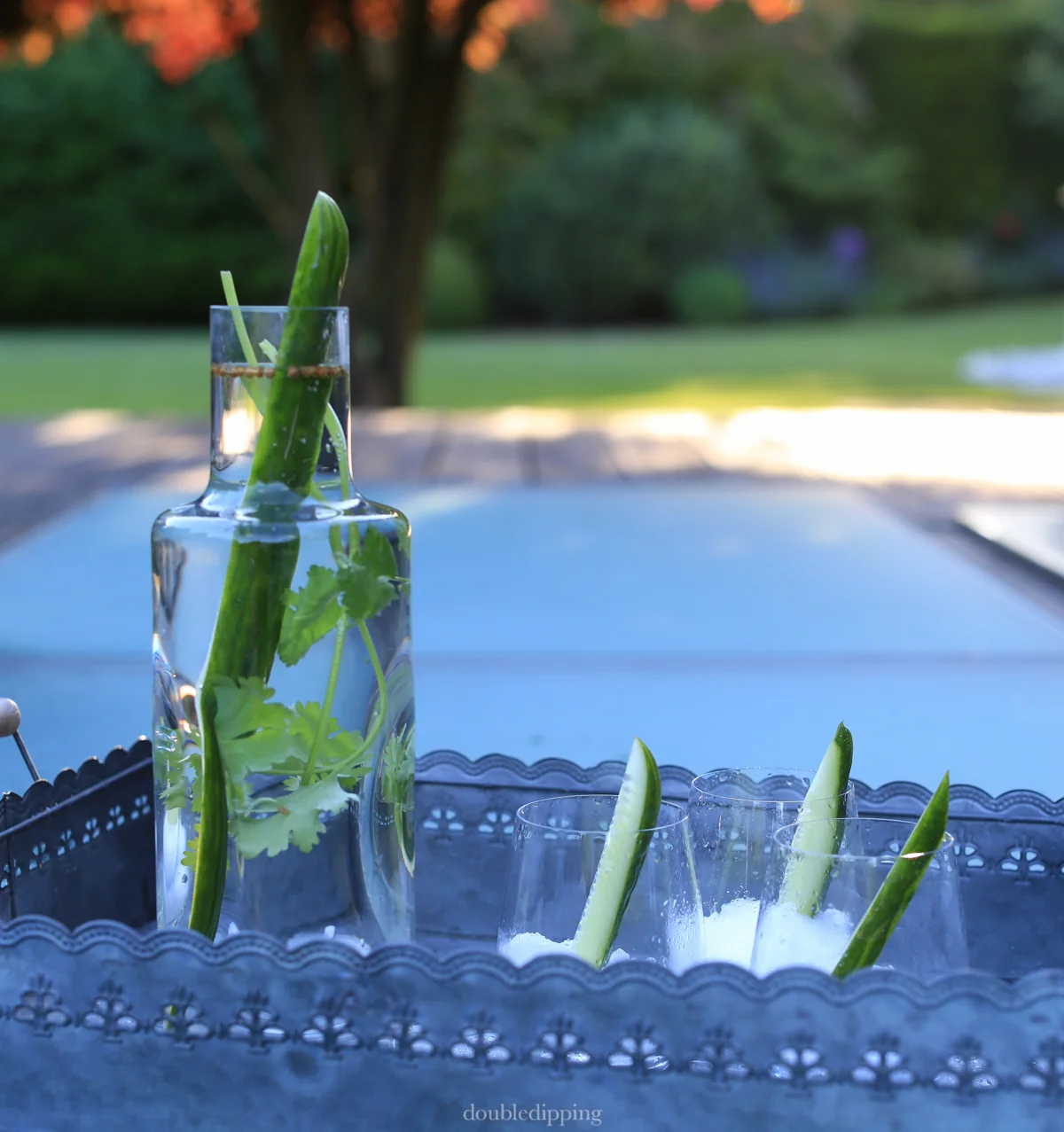 Infused Water IV - Cucumber and Cilantro