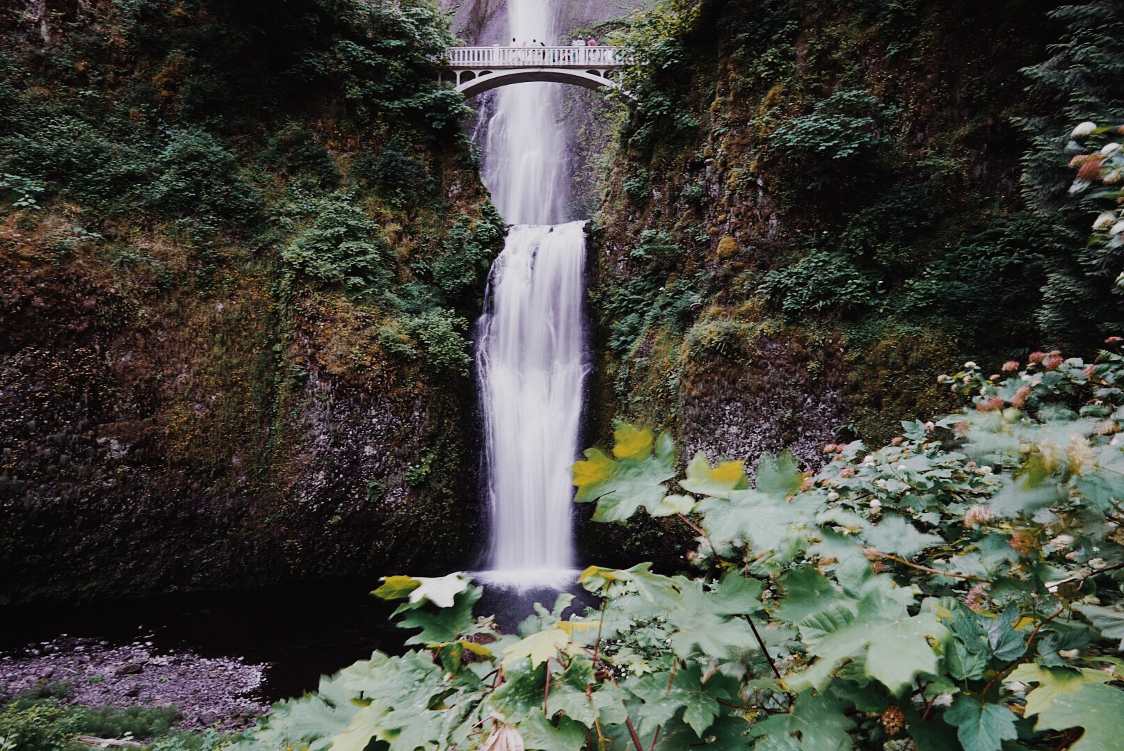 Multnomah Falls Oregon