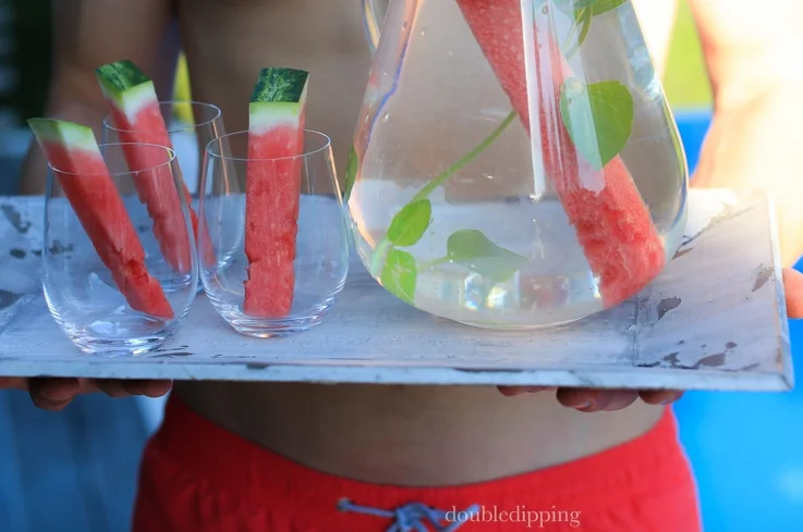 Infused Water III - Watermelon and Thai Basil