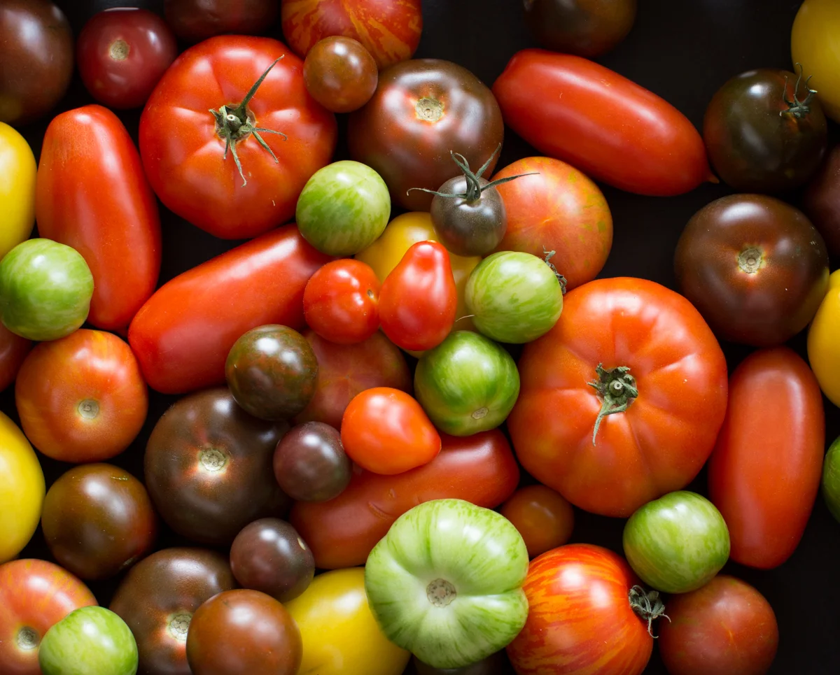 Heirloom Tomatoes baked on Rice