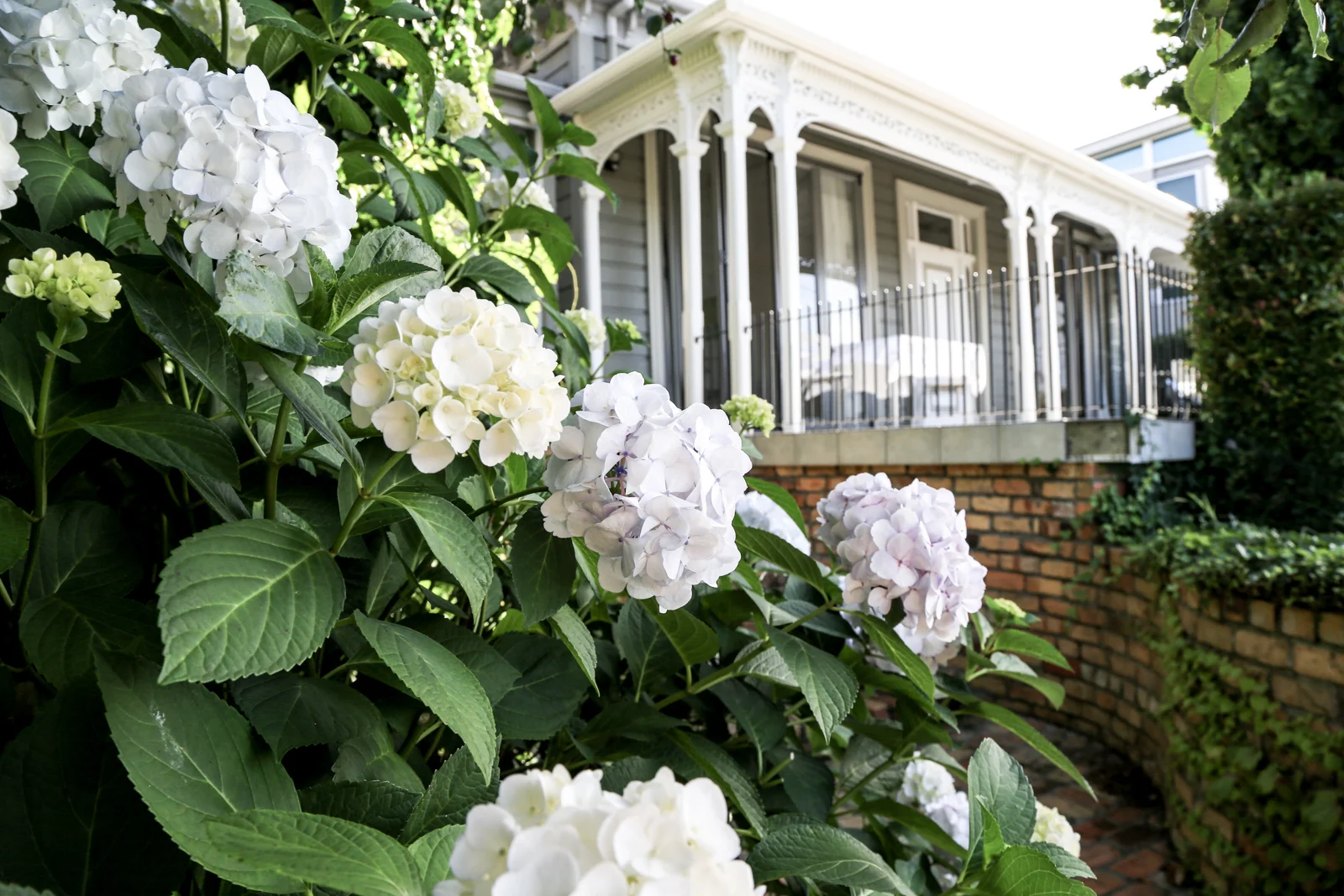 Mollies – A Boutique Hotel in Aukland