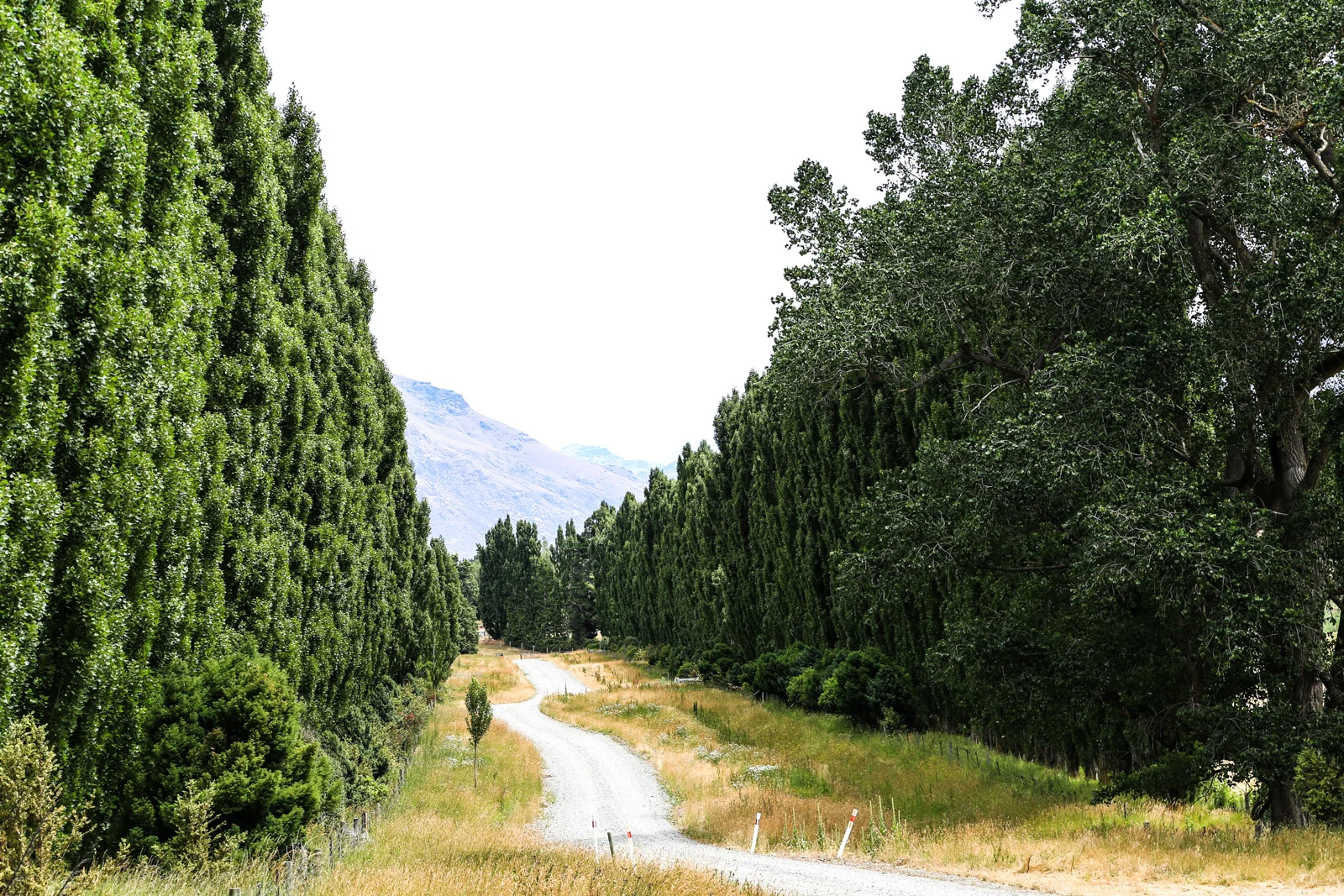 Roadtrip Southern Island