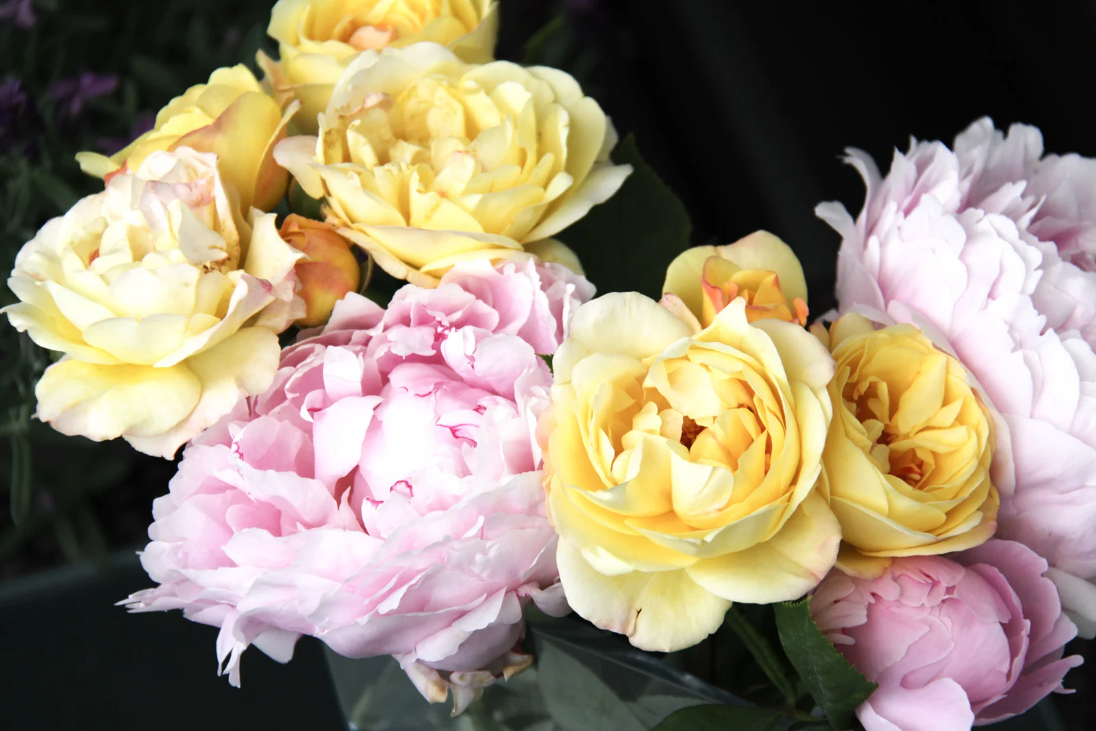 Just Fine or Healthy Relationships?