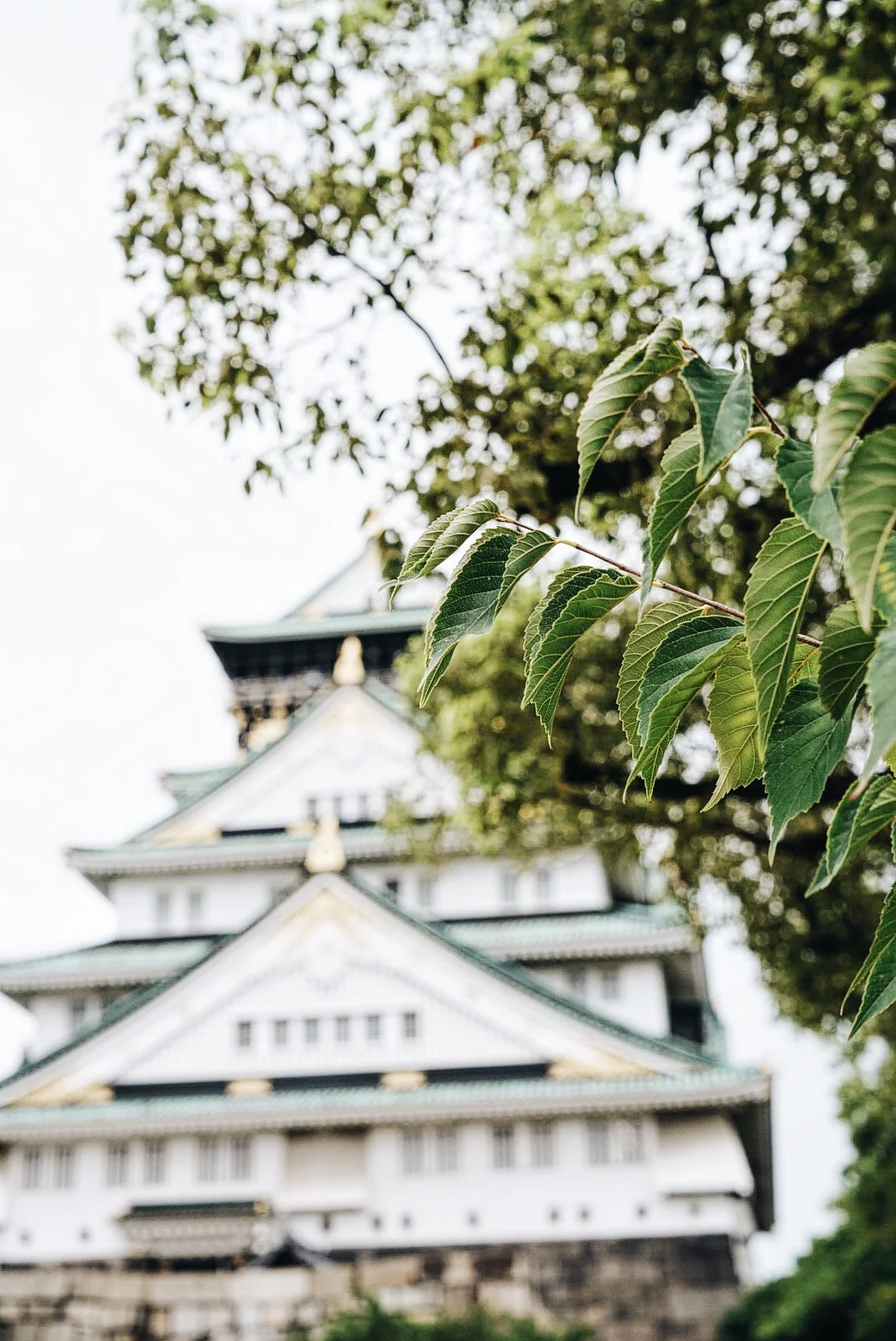Exploring Osaka