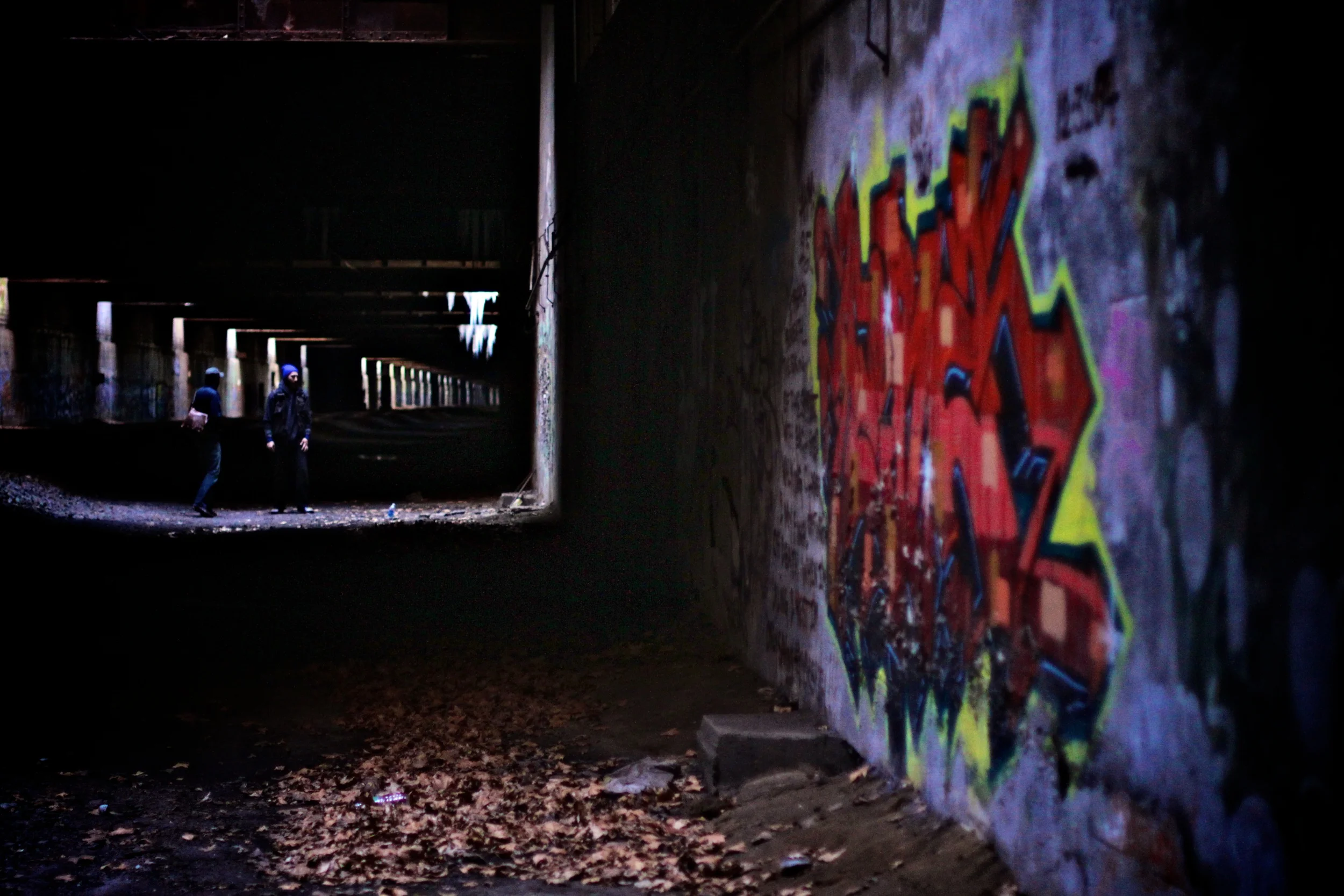012_20120105_0146p.jpg