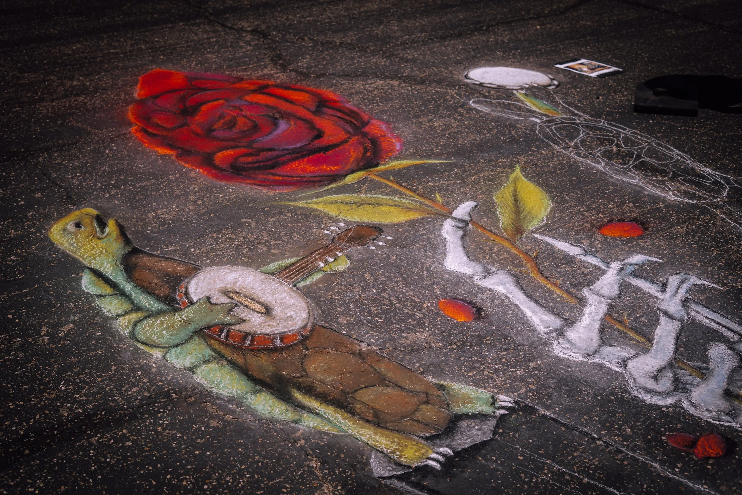 20260530_Roses_CarynWaechter_87a.jpg