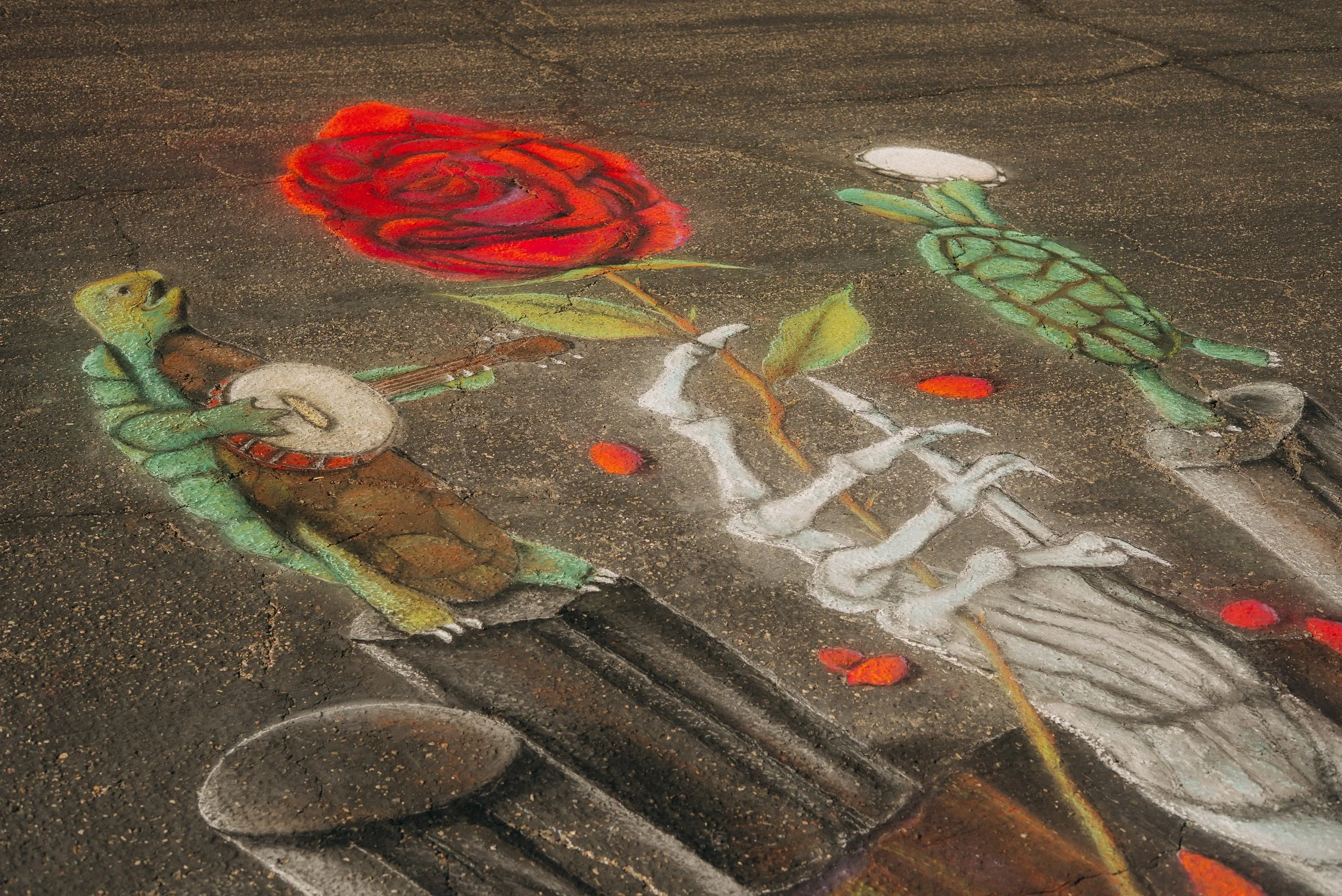 20260530_Roses_CarynWaechter_393a.jpg