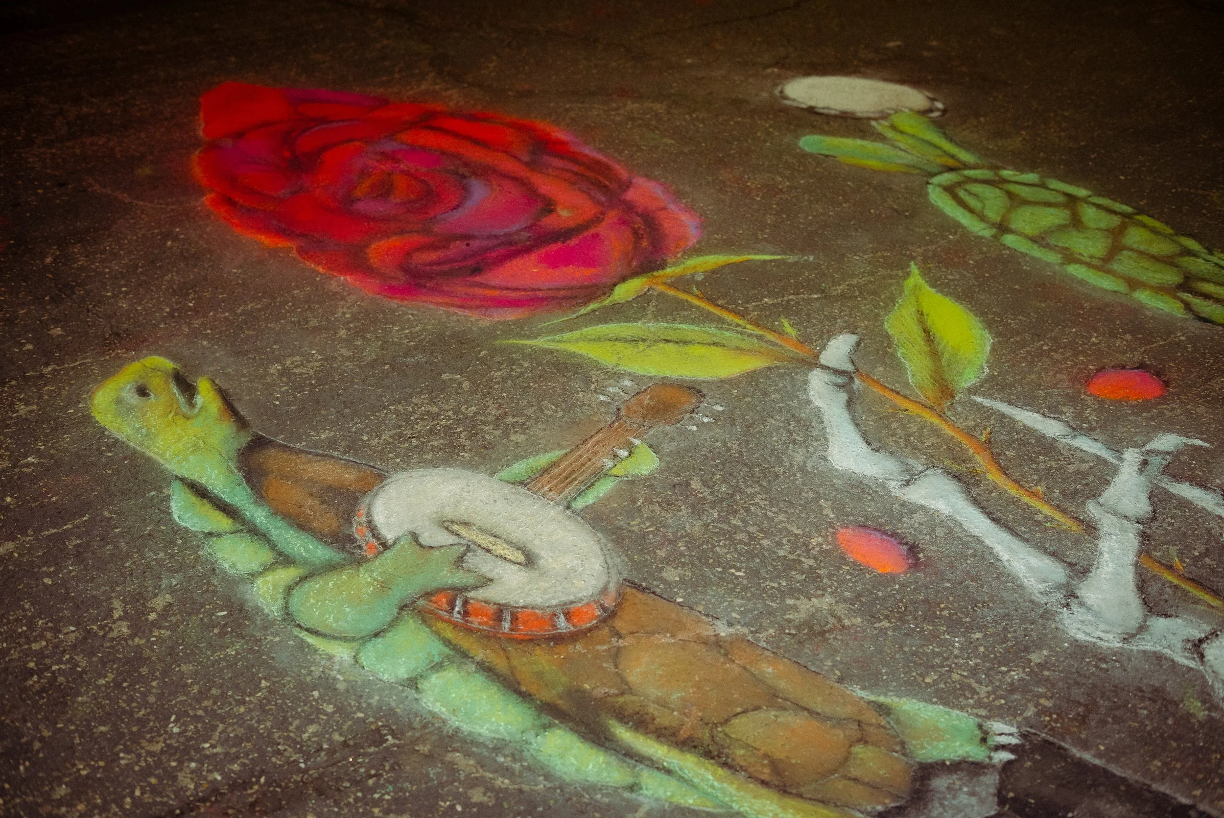 20260531_Roses_CarynWaechter_869a.jpg