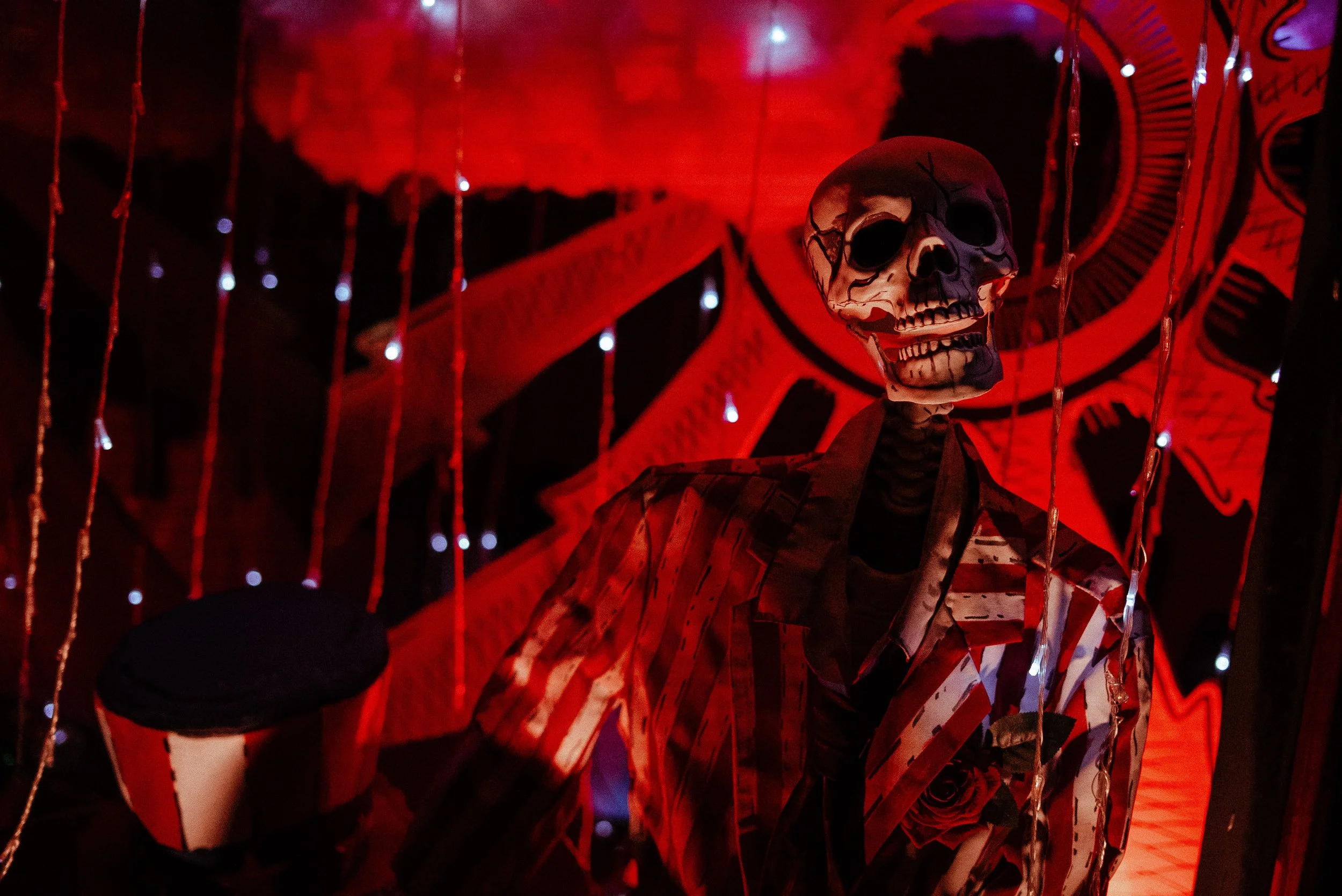 20260523_Dark Star Jubilee_2098a.jpg