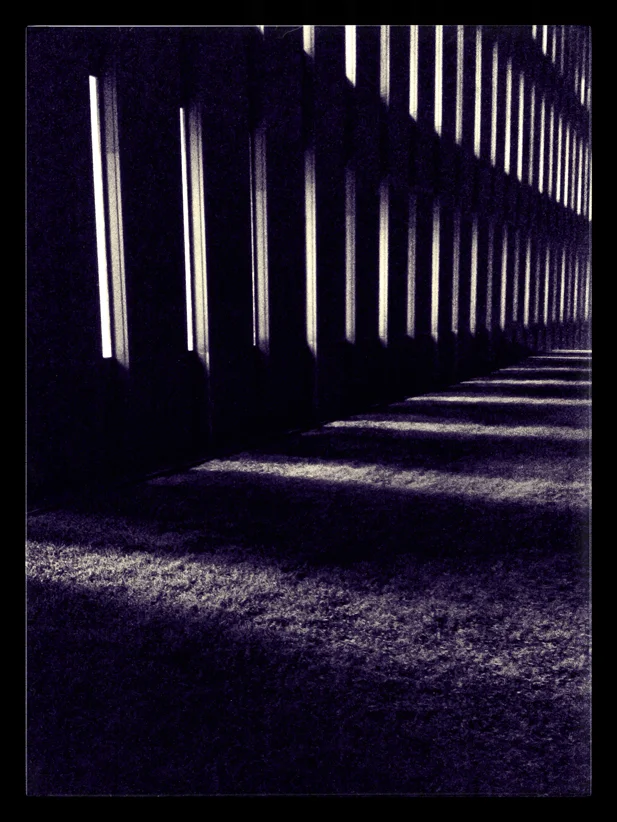 Fisher at night