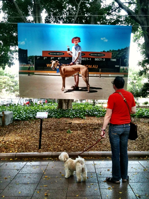 Life Imitates Art