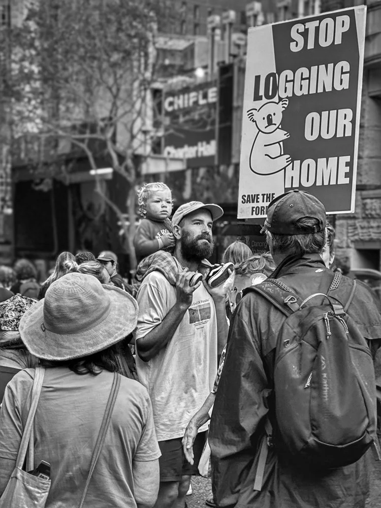 Save the Forests series