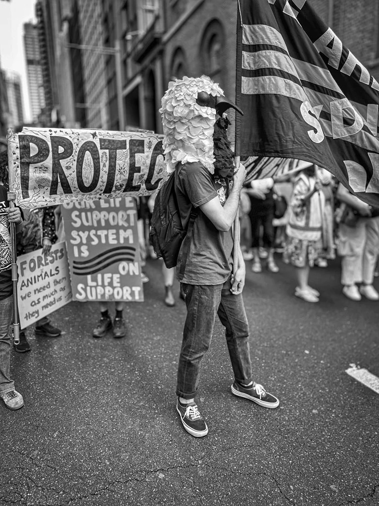 Save the Forests series