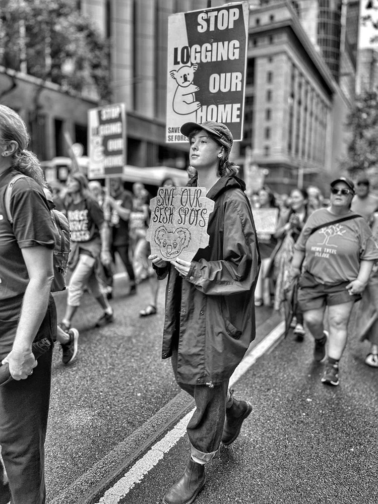 Save the Forests series