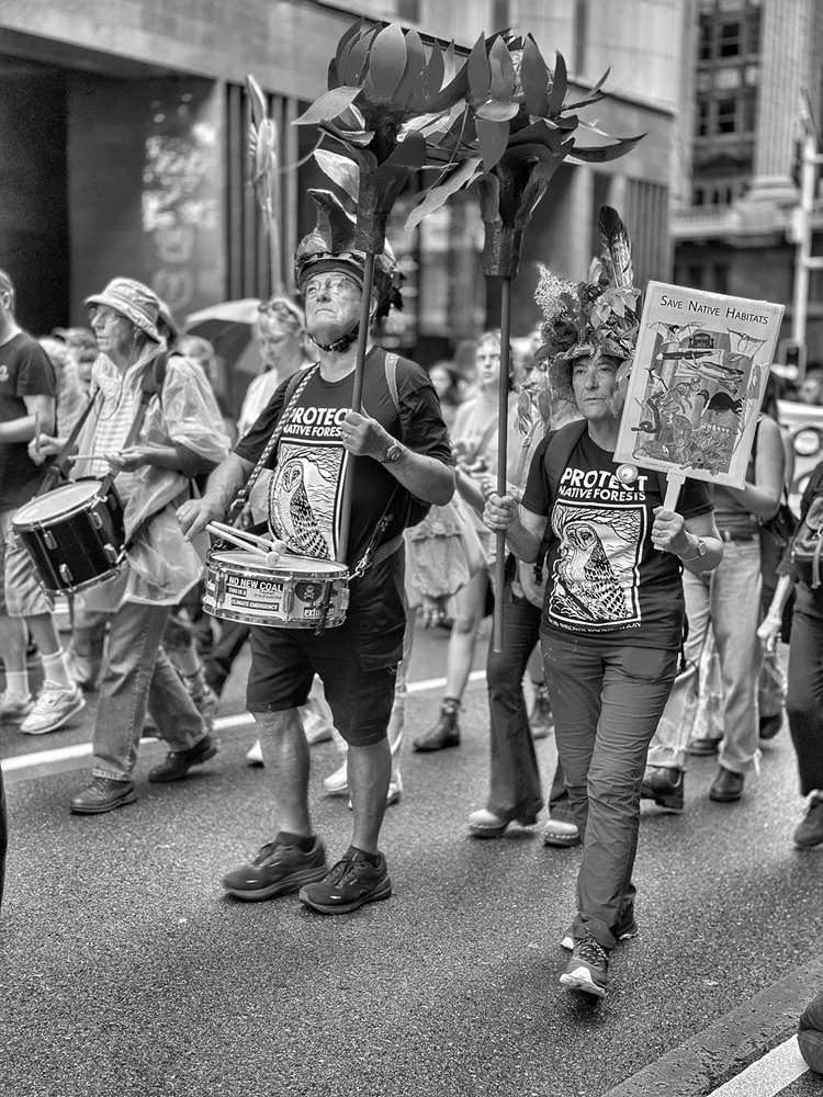 Save the Forests series