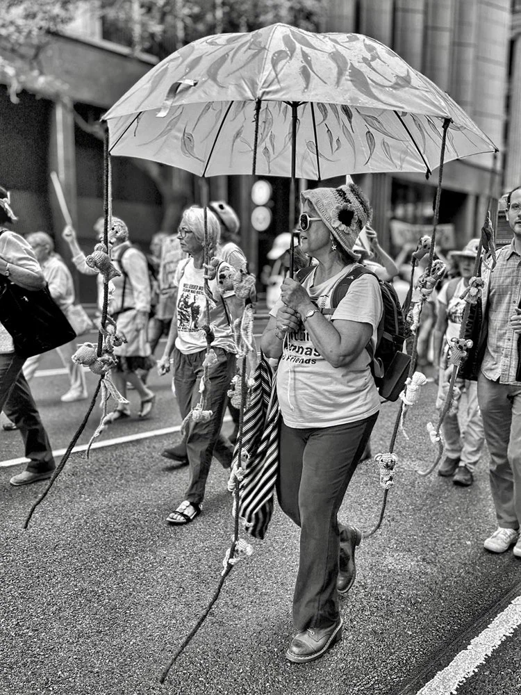 Save the Forests series