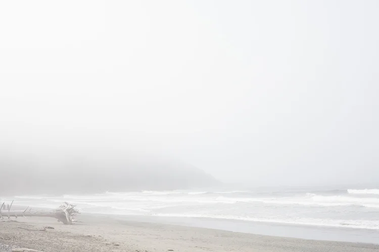 First Beach Washington