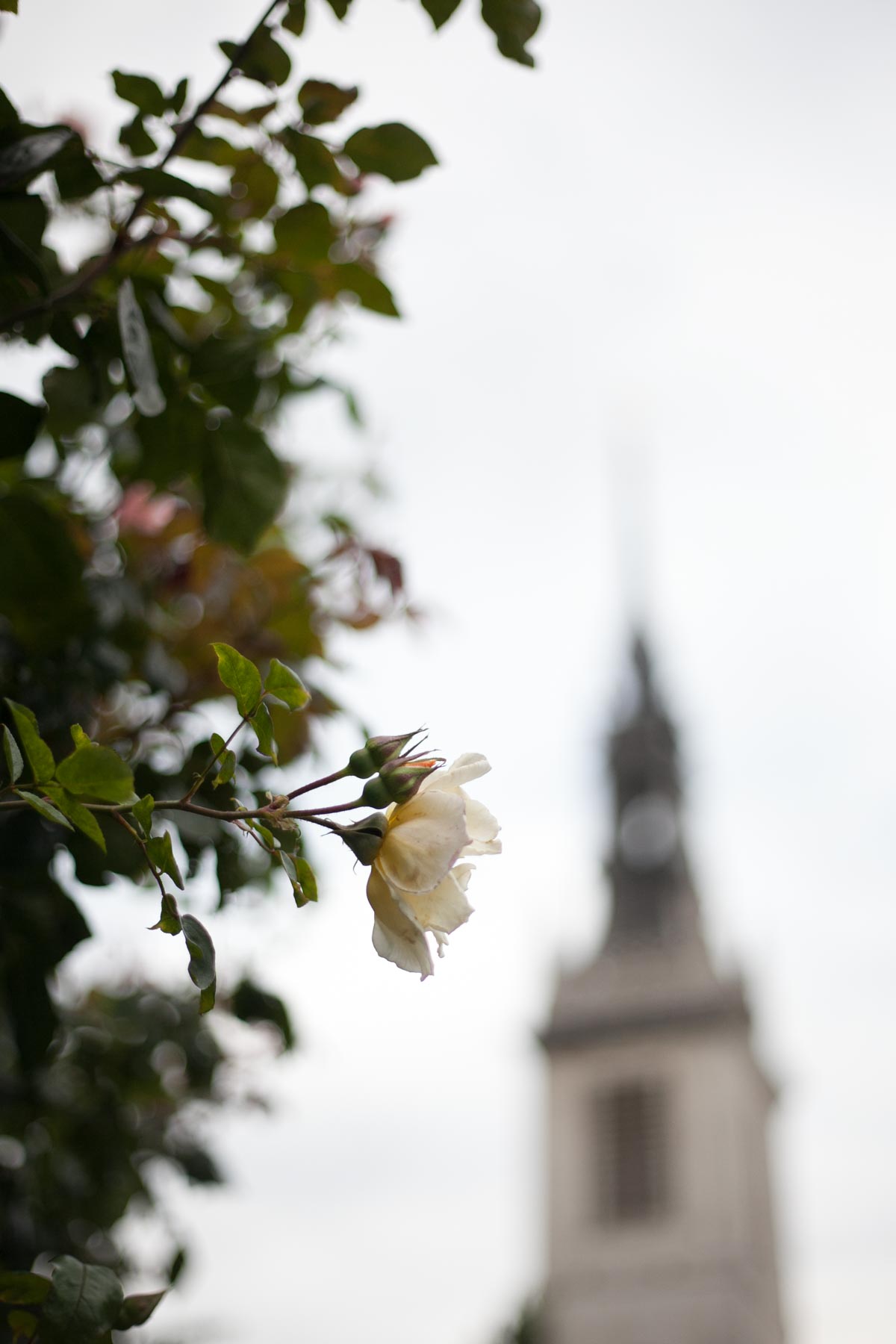 Saint Paul's Cathedral