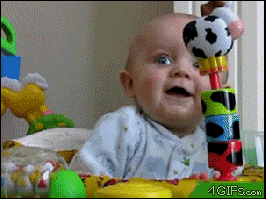 giphy3.gif