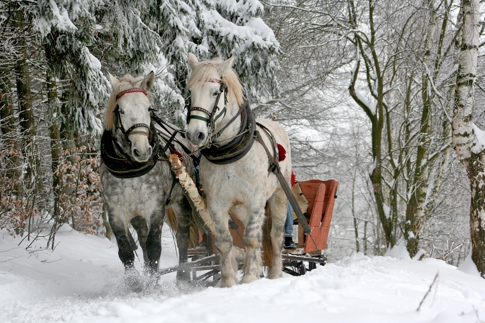 Mid-Week Mix: Sleigh Today!