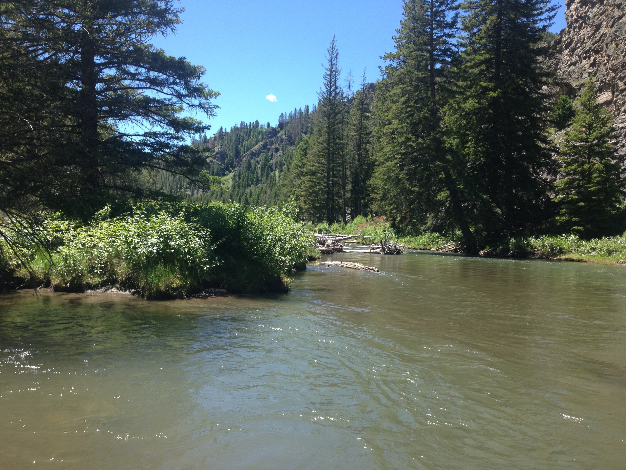 Gallatin River in Big Sky, Montana