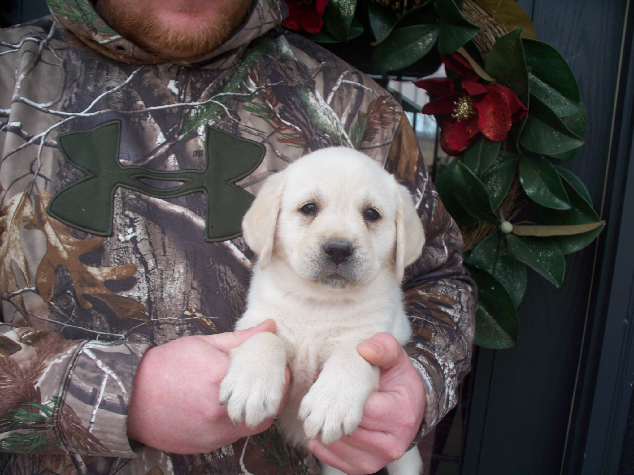 Rudy as a puppy!