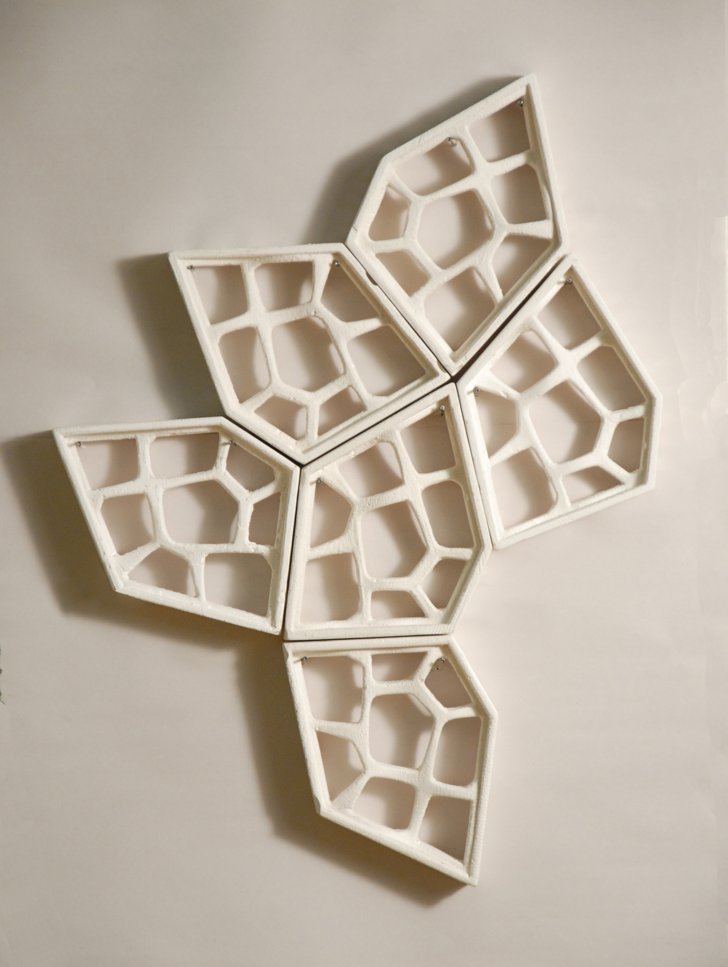 biomimetic.jpg