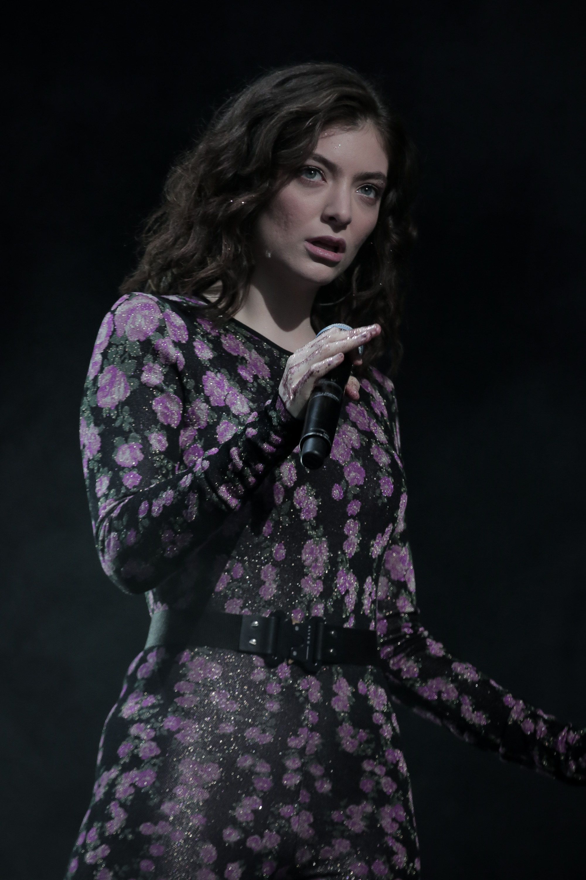 lorde_glastonbury 17_josh groom (6).jpg
