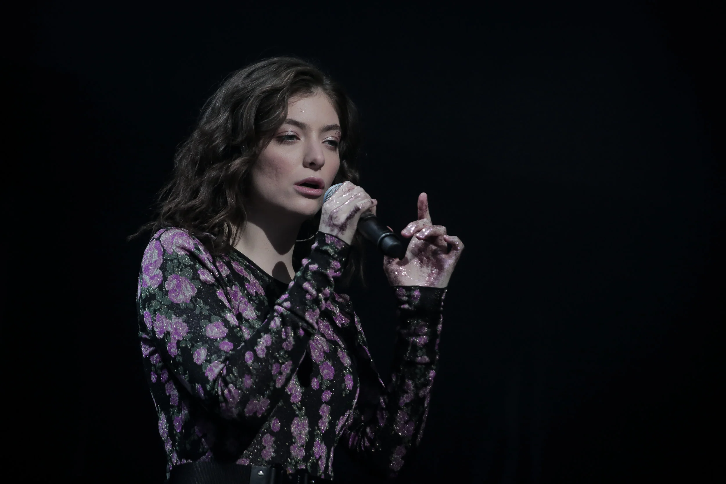 lorde_glastonbury 17_josh groom (3).jpg