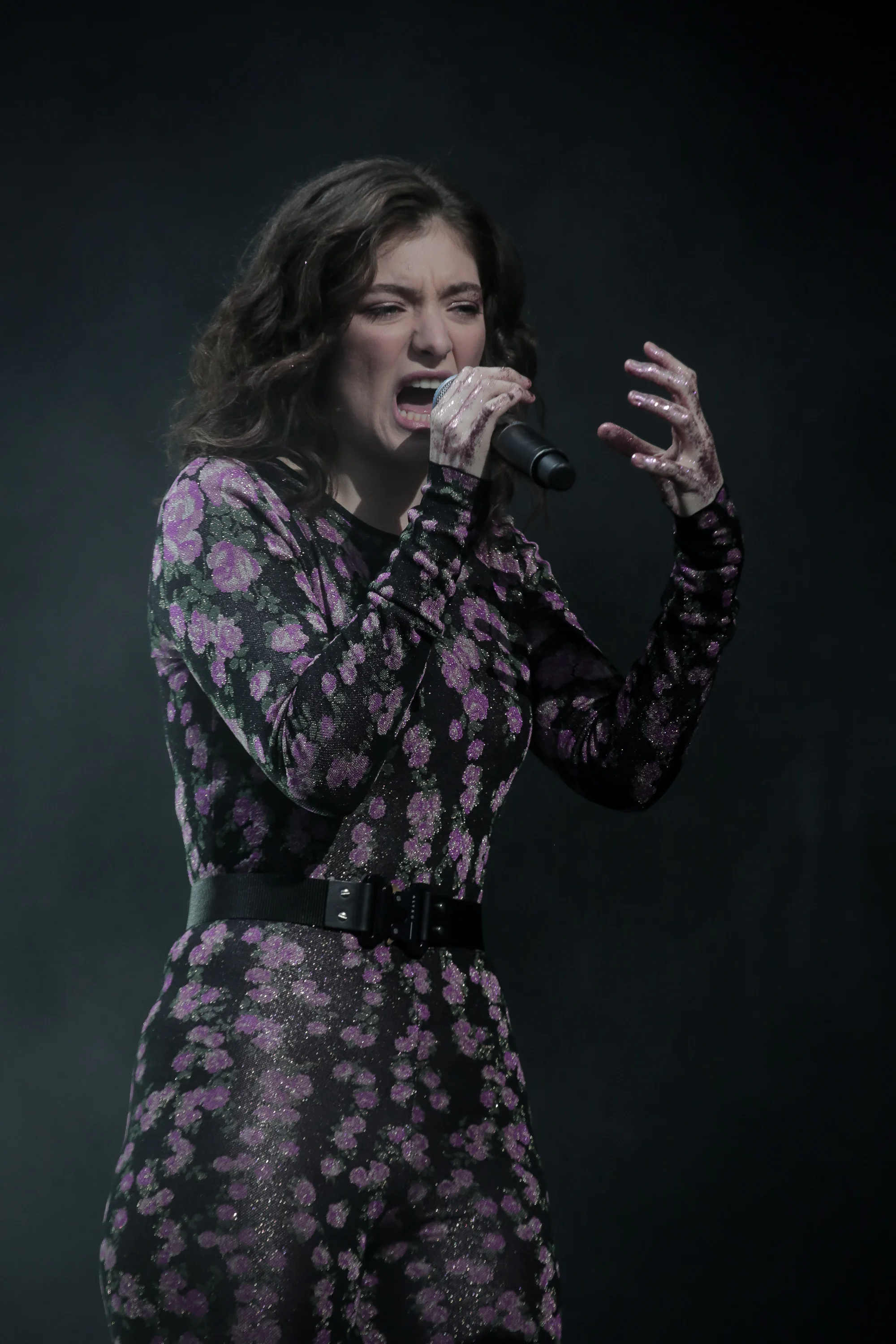 lorde_glastonbury 17_josh groom (7).jpg