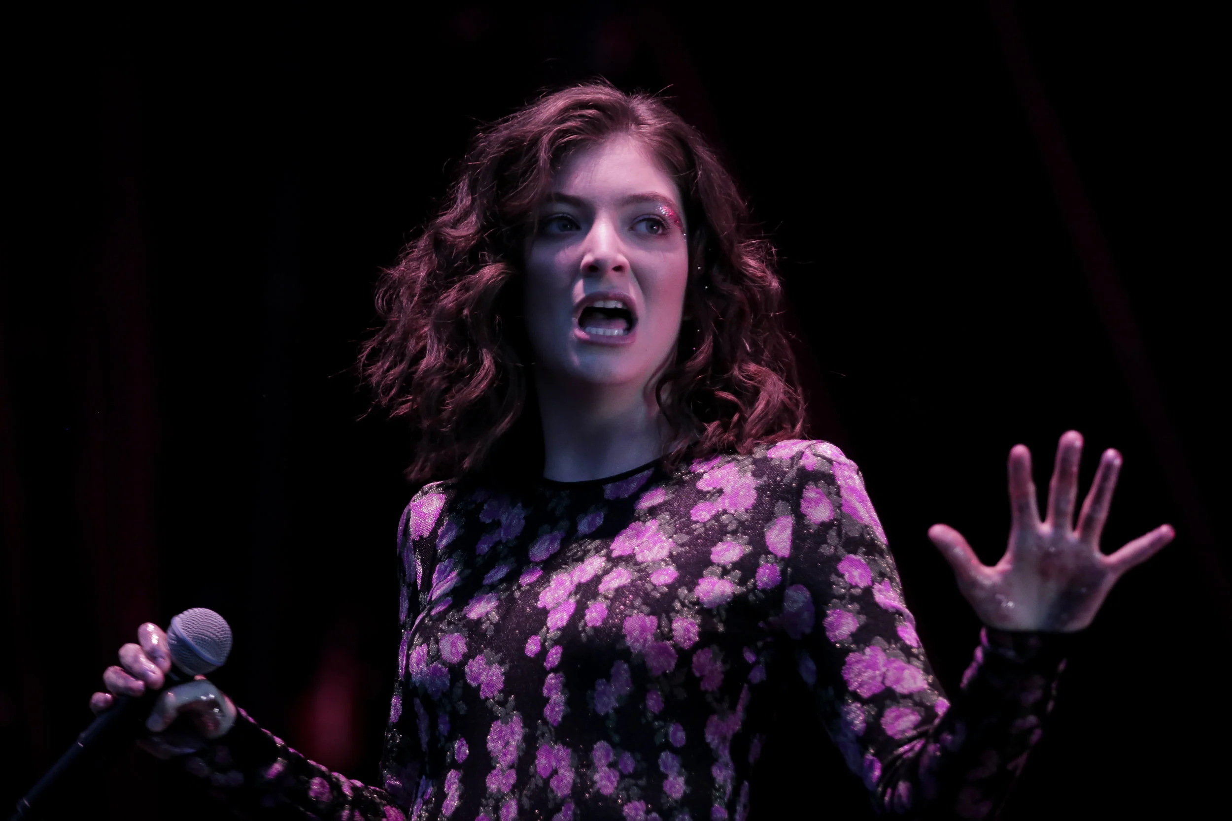 lorde_glastonbury 17_josh groom (16).jpg