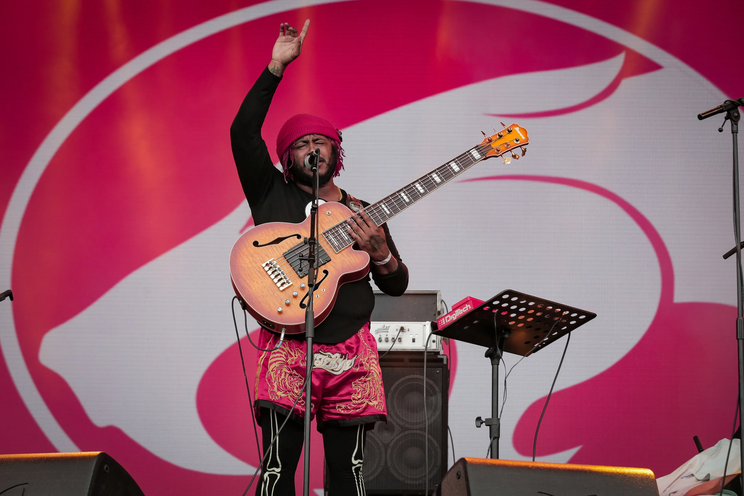 thundercat_glastonbury 17_josh groom (18).jpg