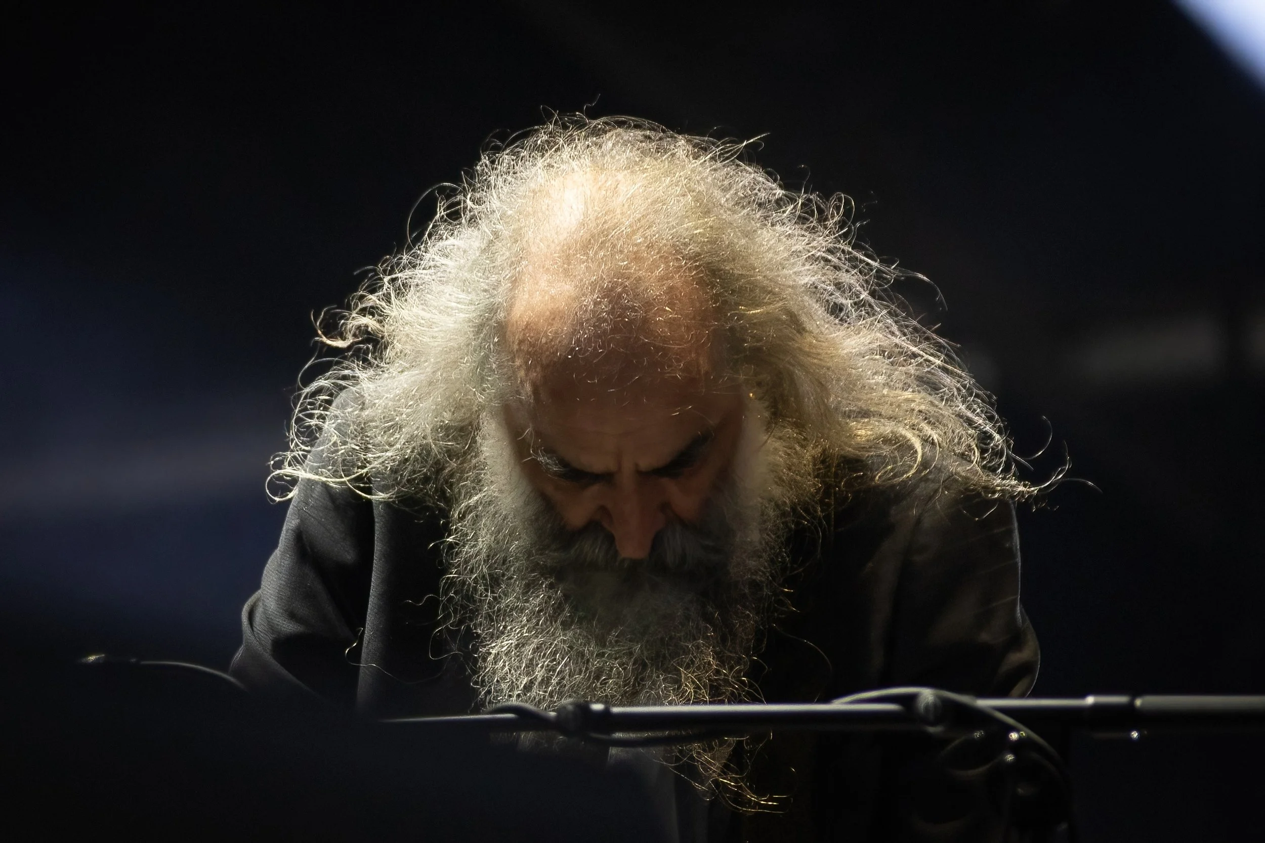 nick cave and the bad seeds_the domain 26_josh groom 015.jpg