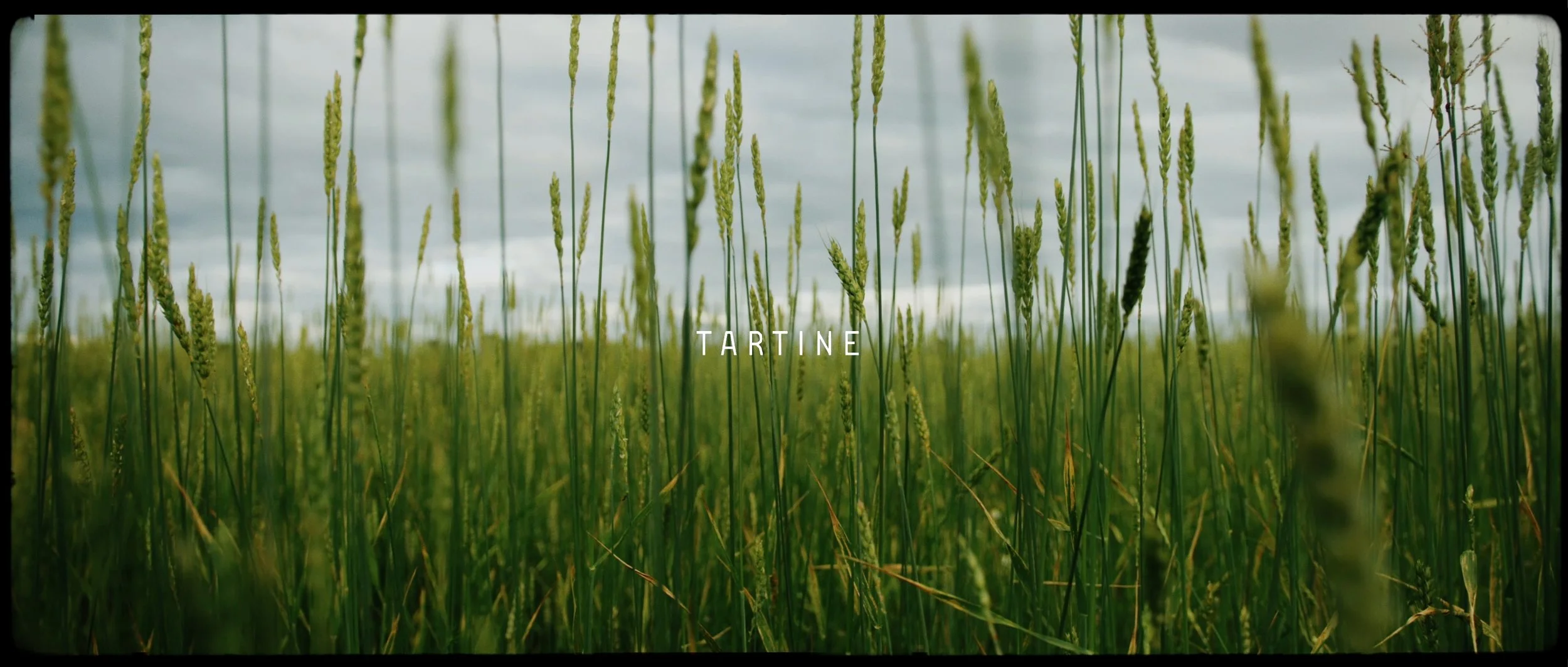 frame-000862.jpg