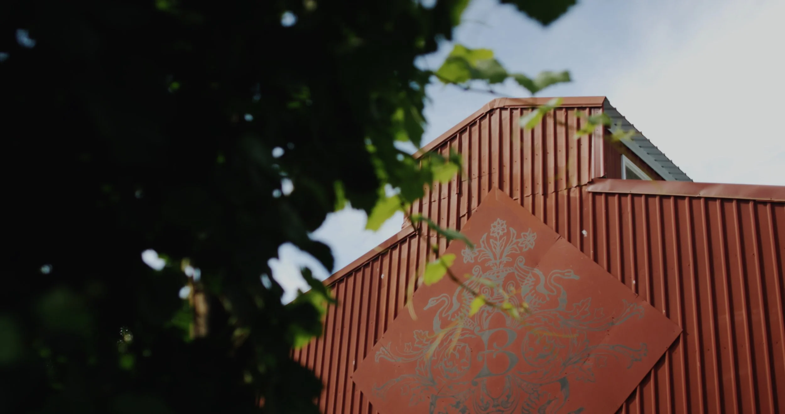 frame-000011.jpg