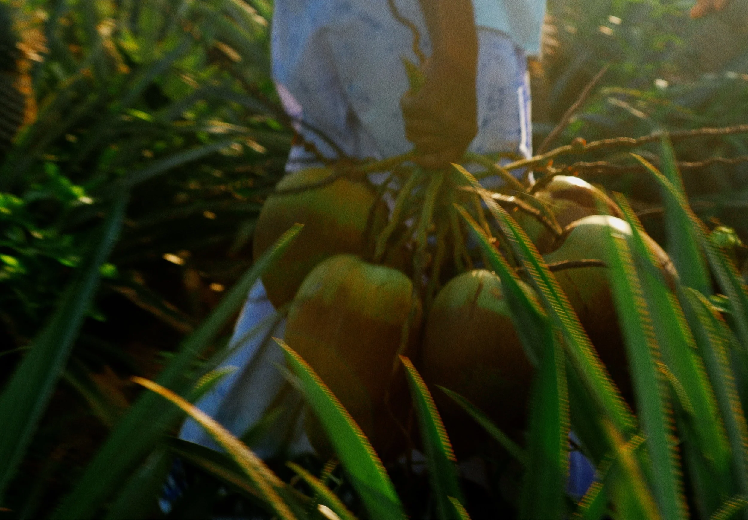 frame-000561.jpg