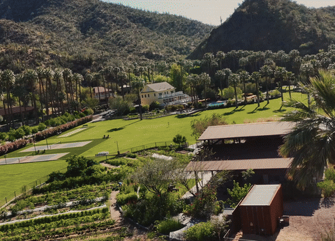 Castle Hot Springs - .gif