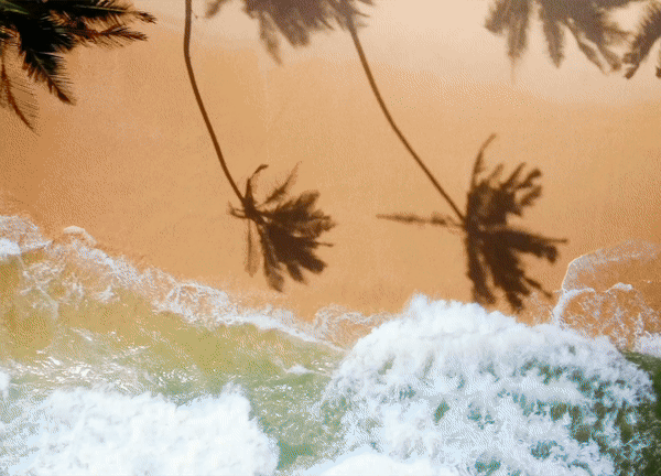 Vita Coco-.gif