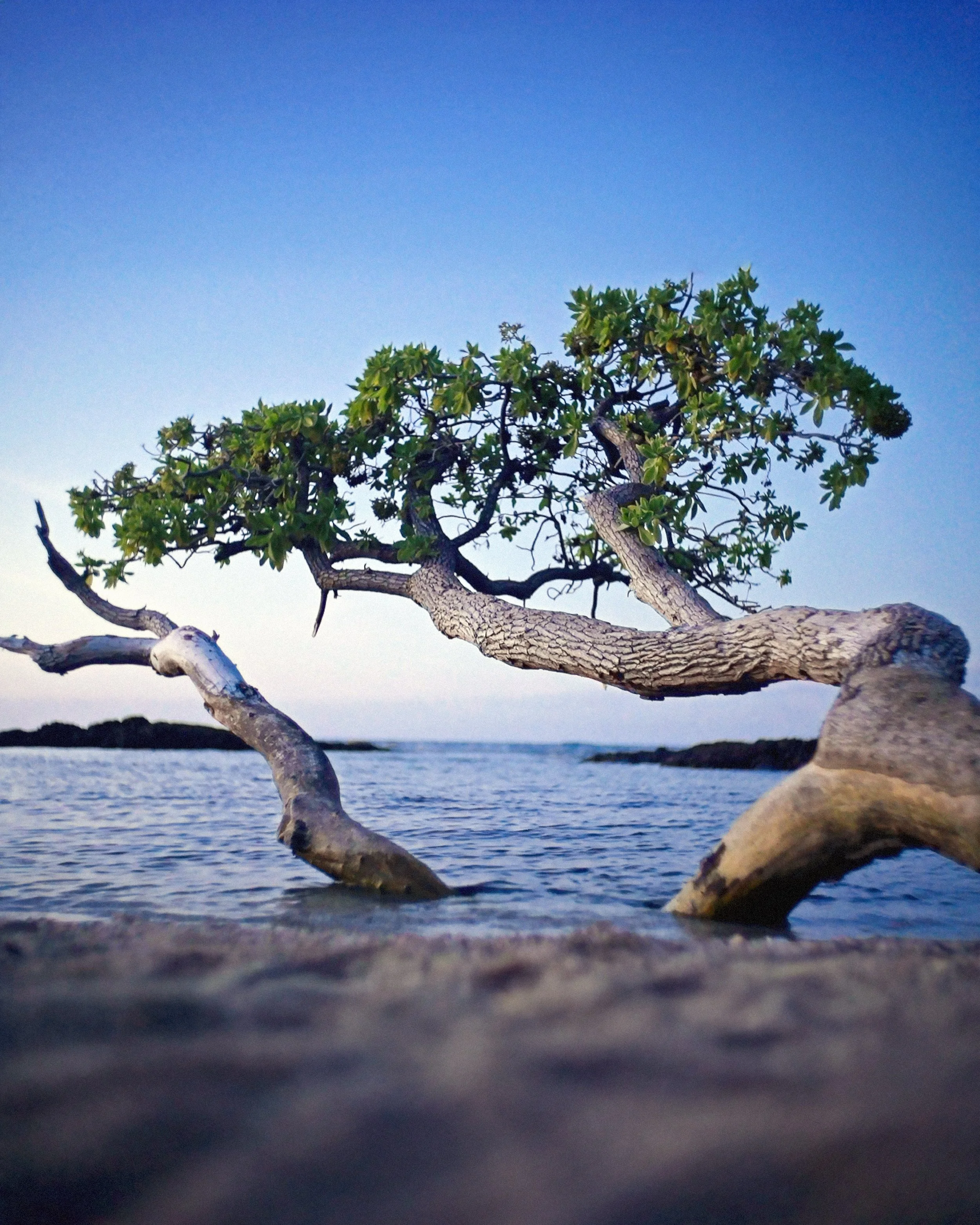 Kauna'oa Beach, Hawaii | 2018