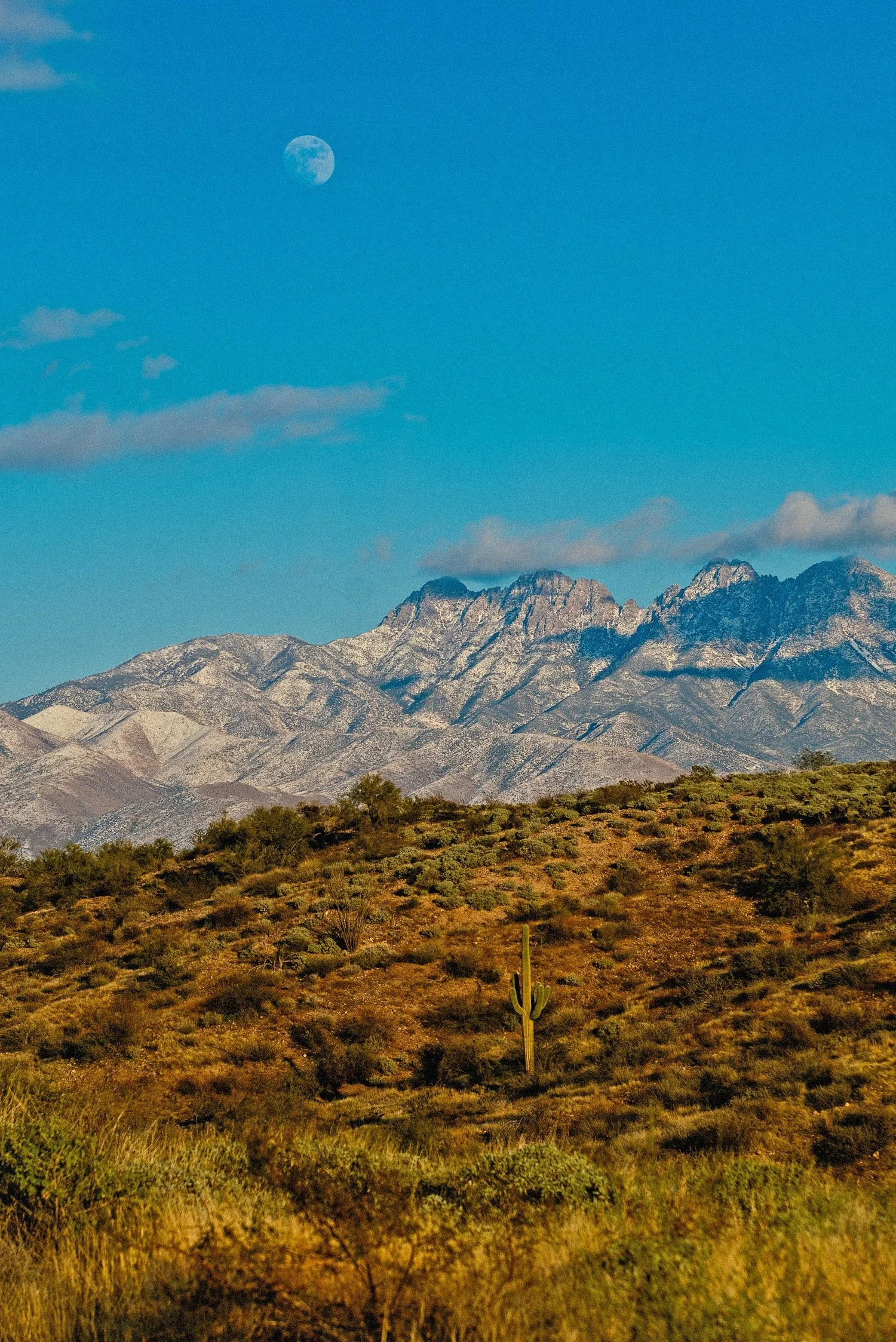  Four Peaks, Tonto National Forest, Arizona 