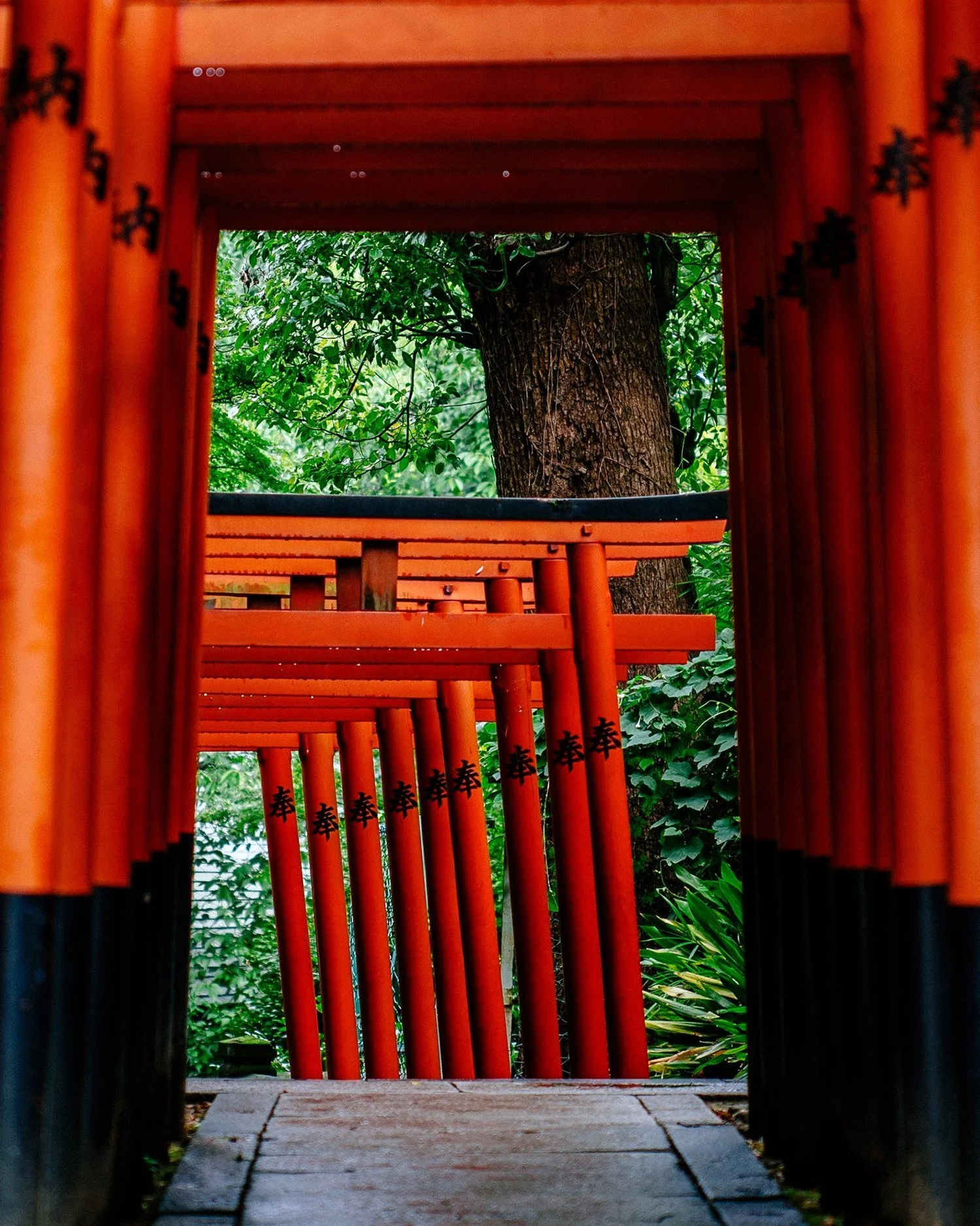  Hanazono-Inari Shrine, Tokyo, Japan 