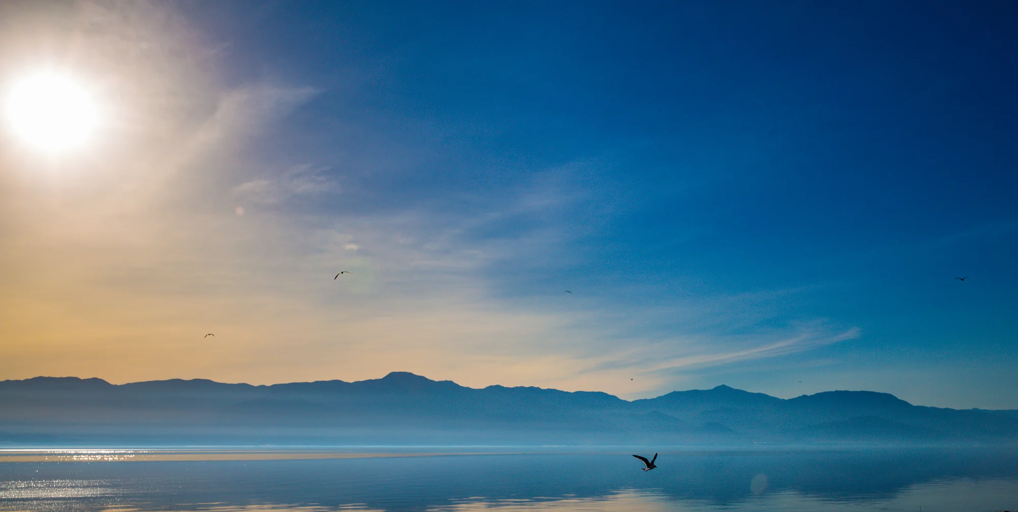 160213_Salton Sea_6729.jpg