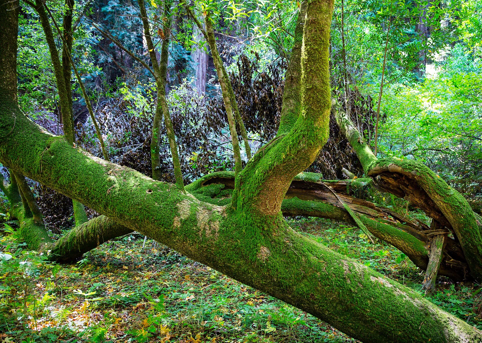 Landscape photography by Danny Luna