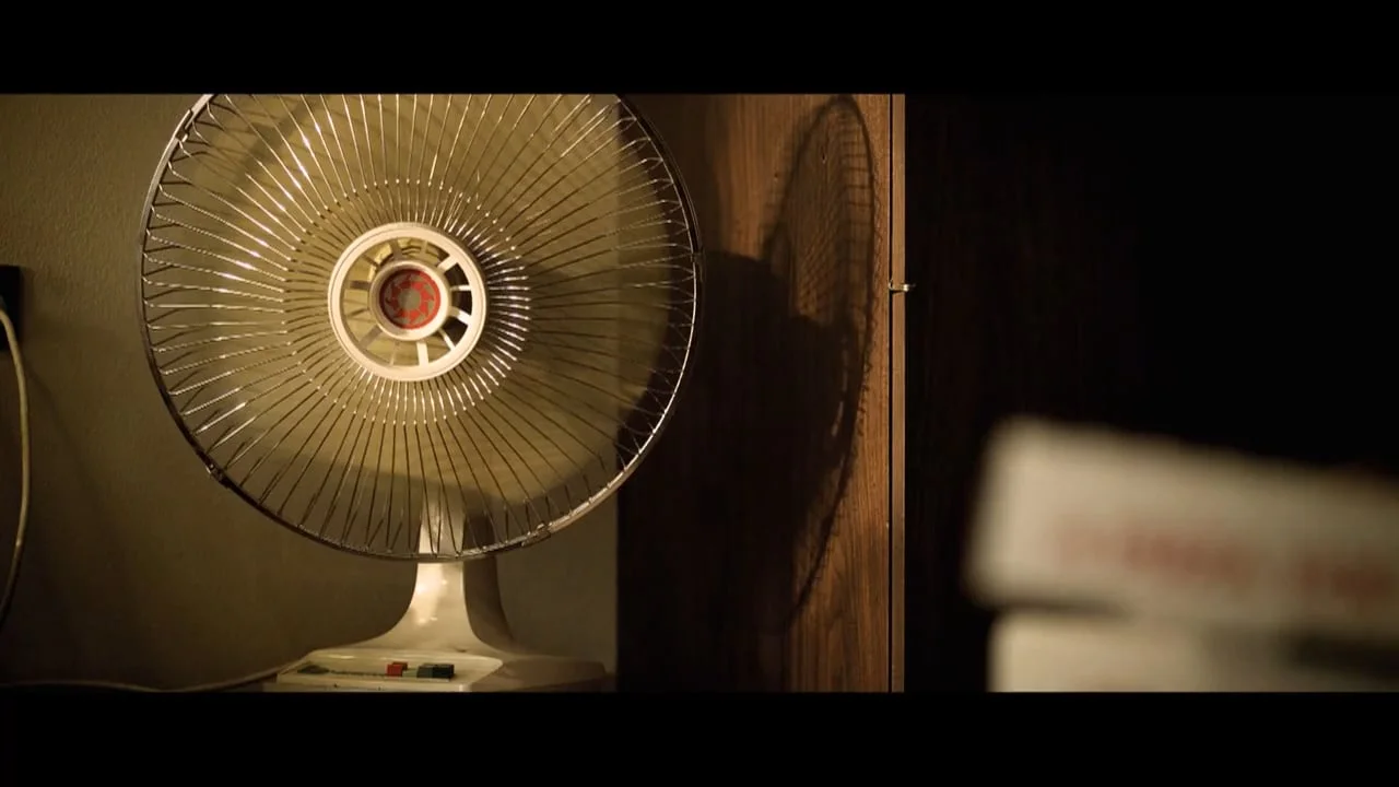 Sanctuary Park - Director | Editor