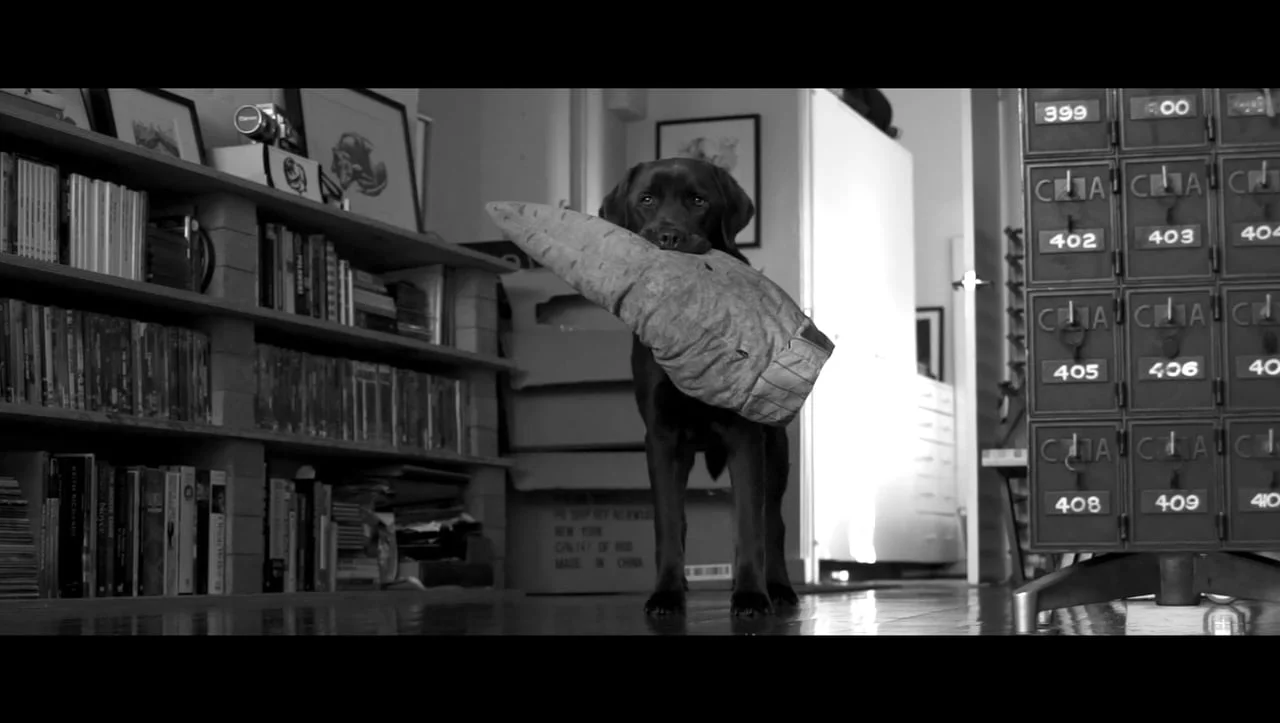 Magnus  - Short Silent Film - Director | DOP | Editor