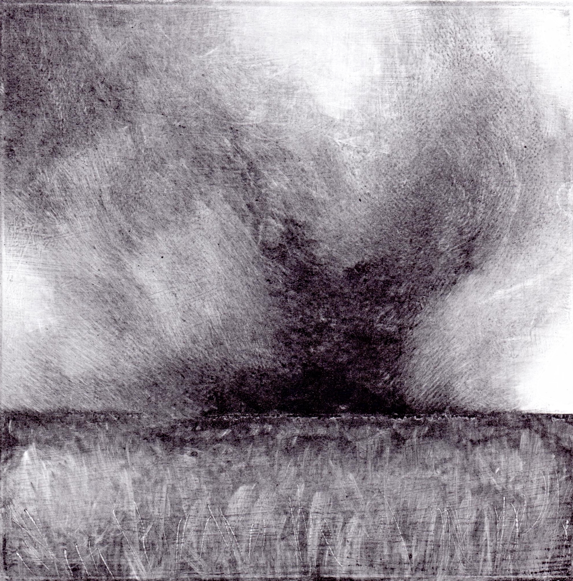Grassfire 3