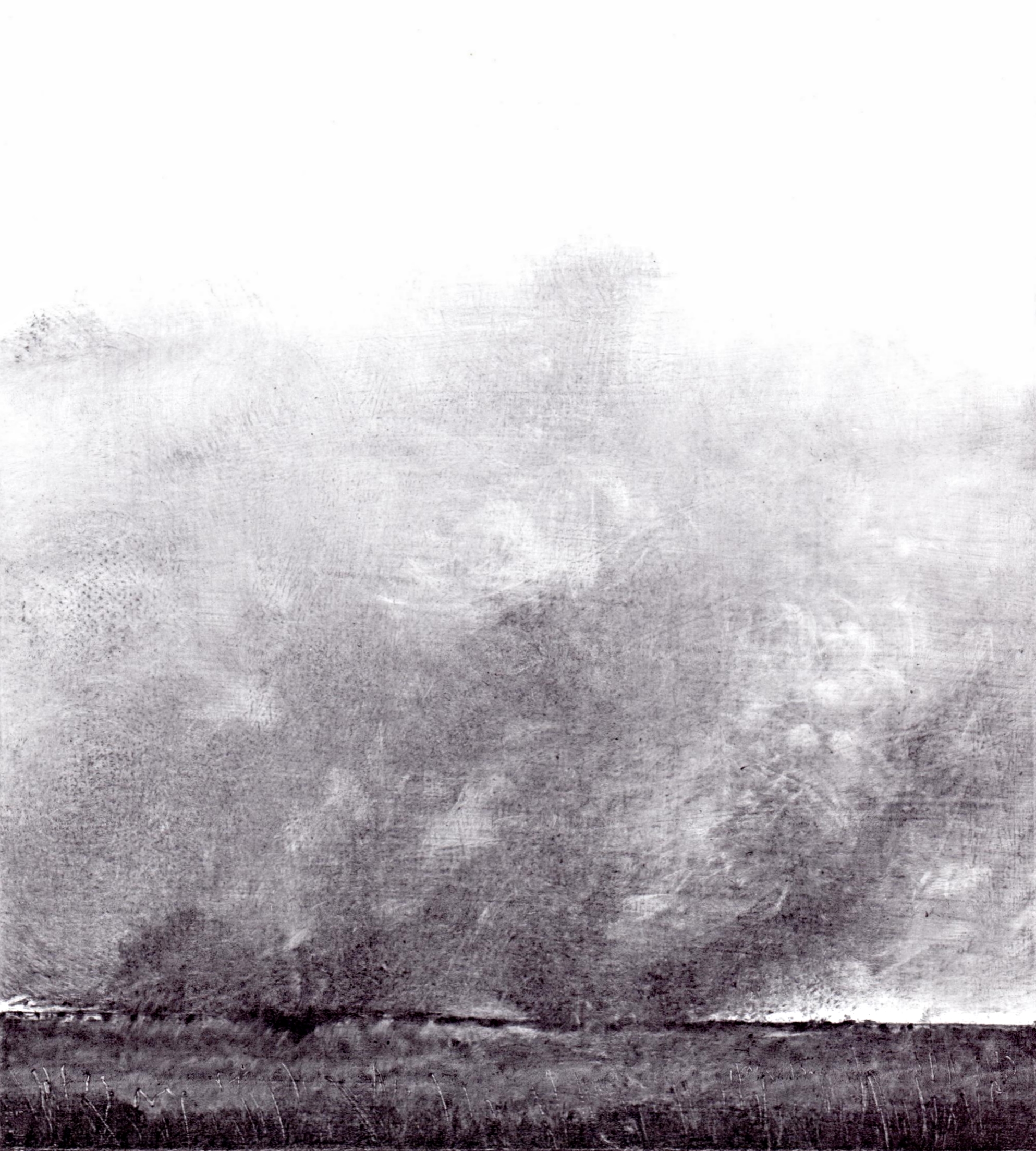 Grassfire 2