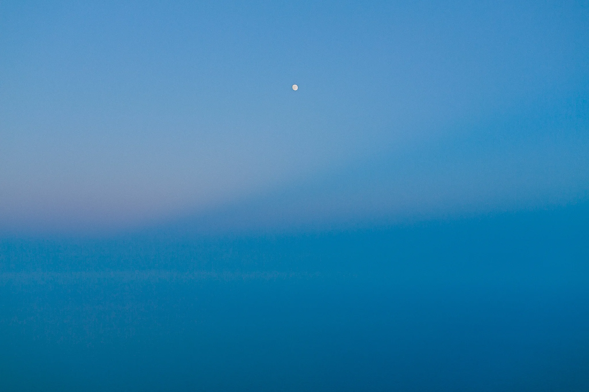 _00C1111.jpg