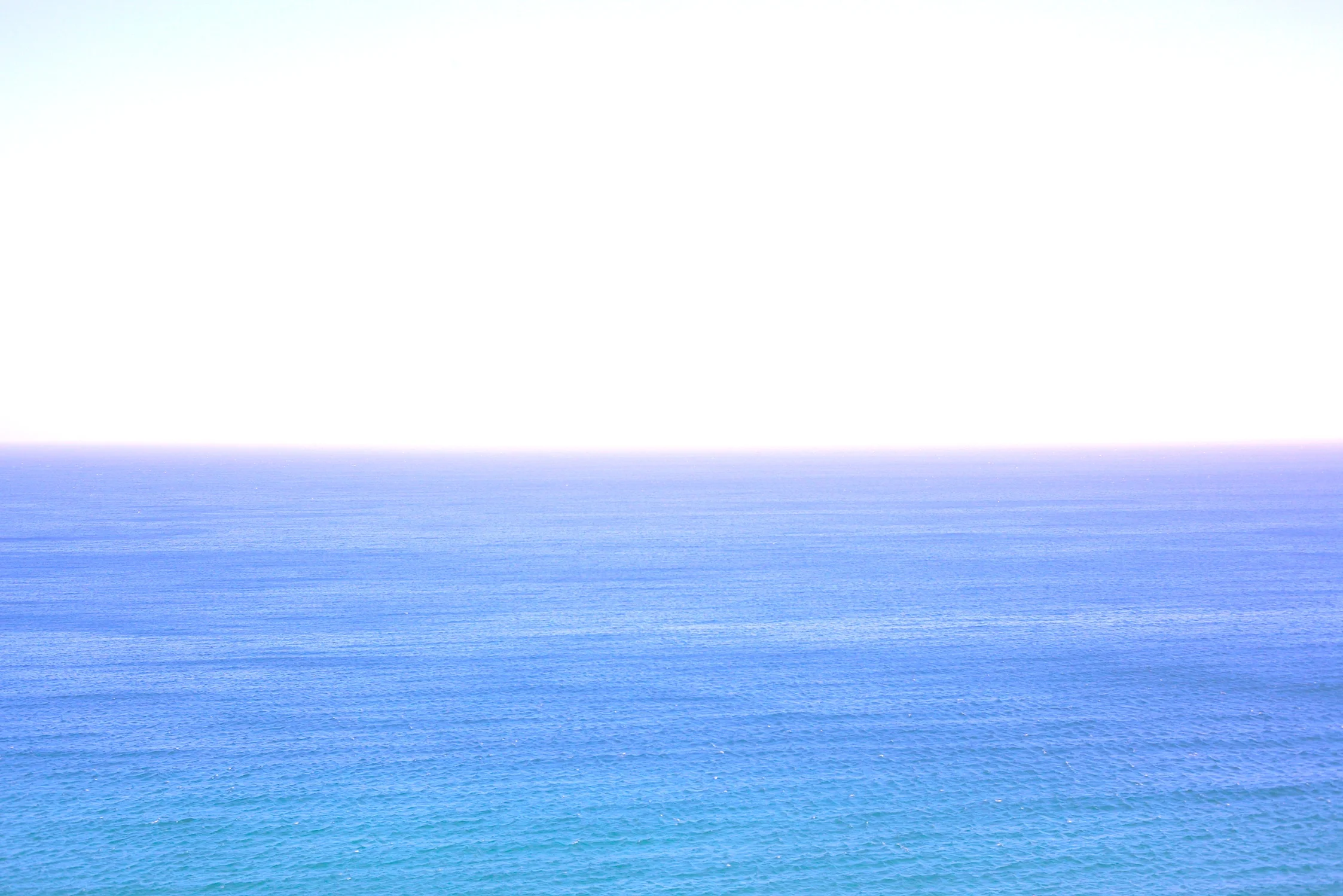 IMG_1000 copy.jpg
