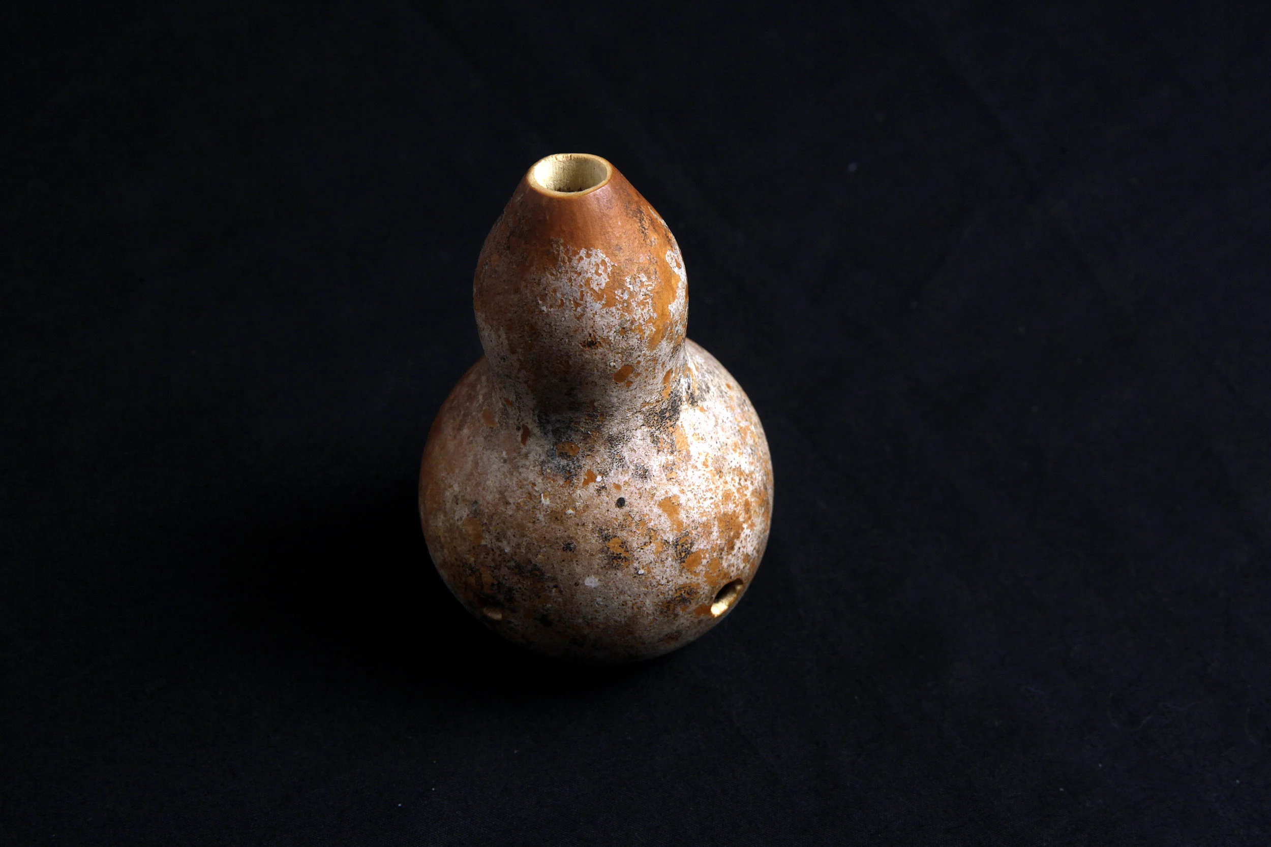 kōauau ponga ihu